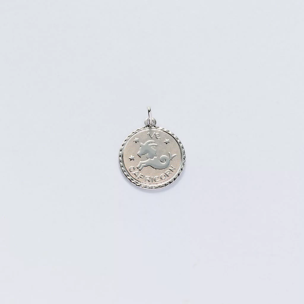 Zodiac Charms