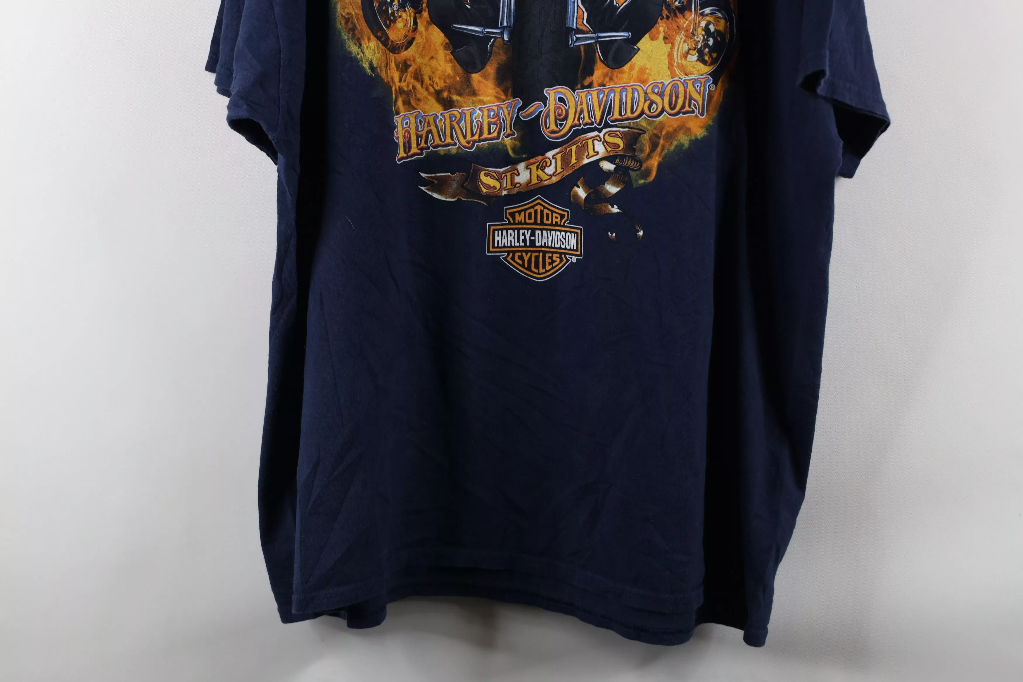 Harley Davidson Short Sleeve T Shirts Harley Davidson × Vintage Vintage Harley Davidson Skull Fire Flames T-Shirt Blue