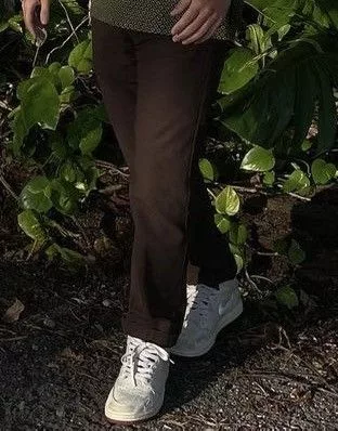 Vans Casual Pants Vans authentic chino Brown