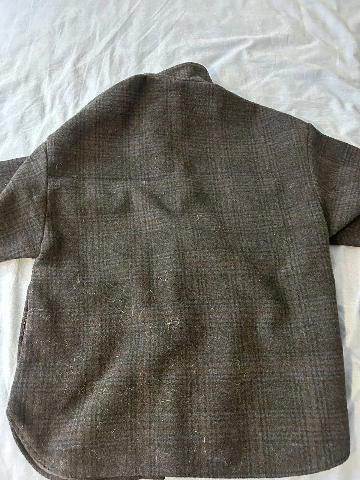 Zara Jackets zara polyester jacket Blue