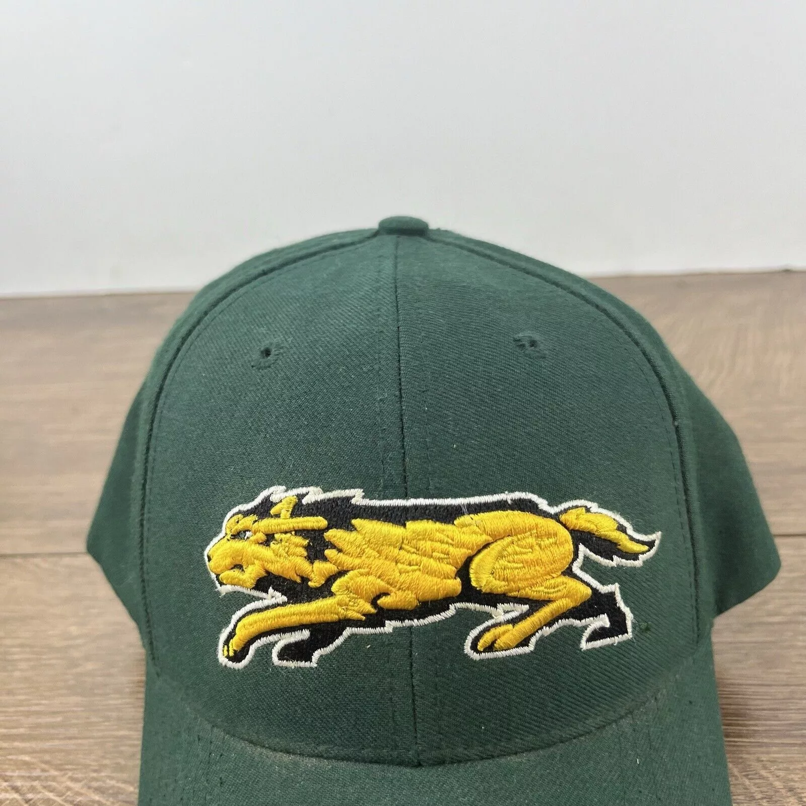 Other Hats Other Wright State Raiders Green Hat NCAA Green Hat Adjustable Hat