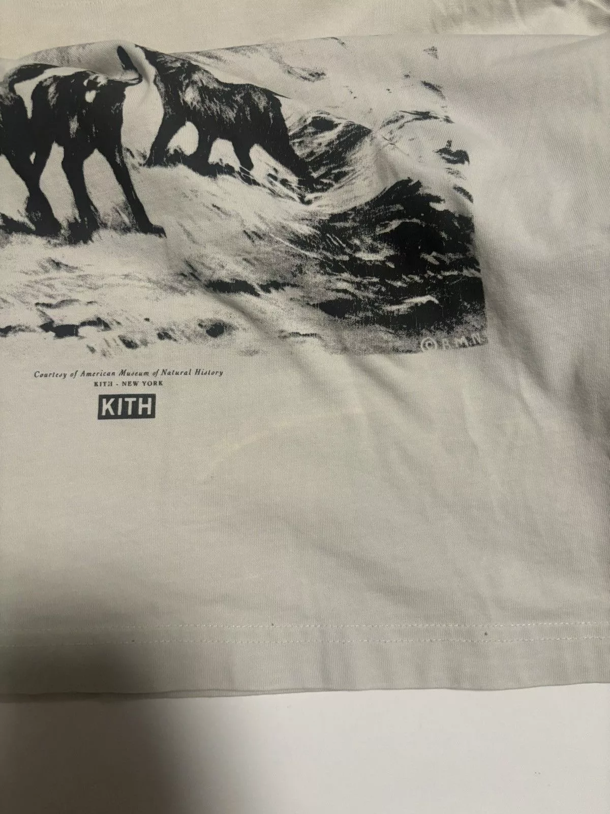 Kith Short Sleeve T Shirts Kith x AMNH Wolves Vintage Tee - Concrete Multi