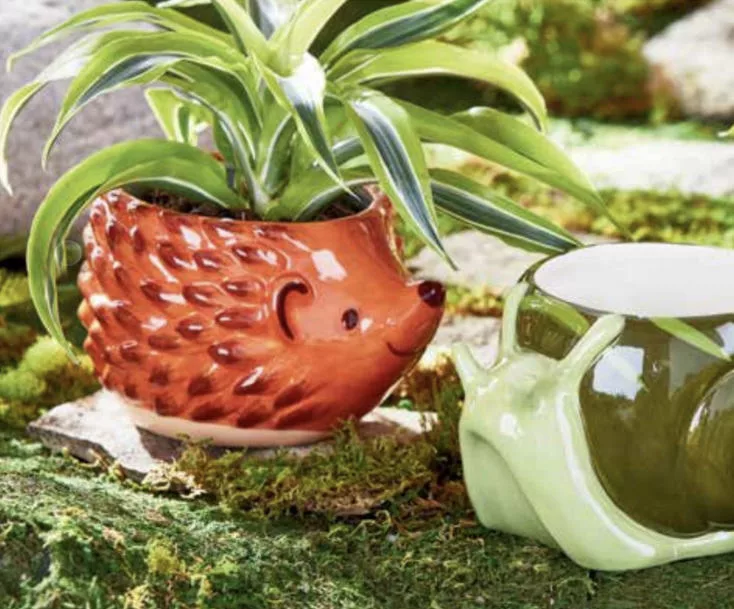 Hedgehog 4" Planter