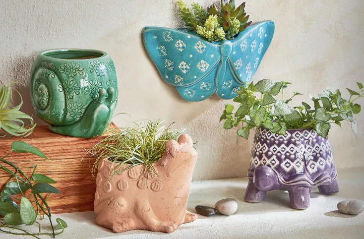 Terracotta Frog Planter