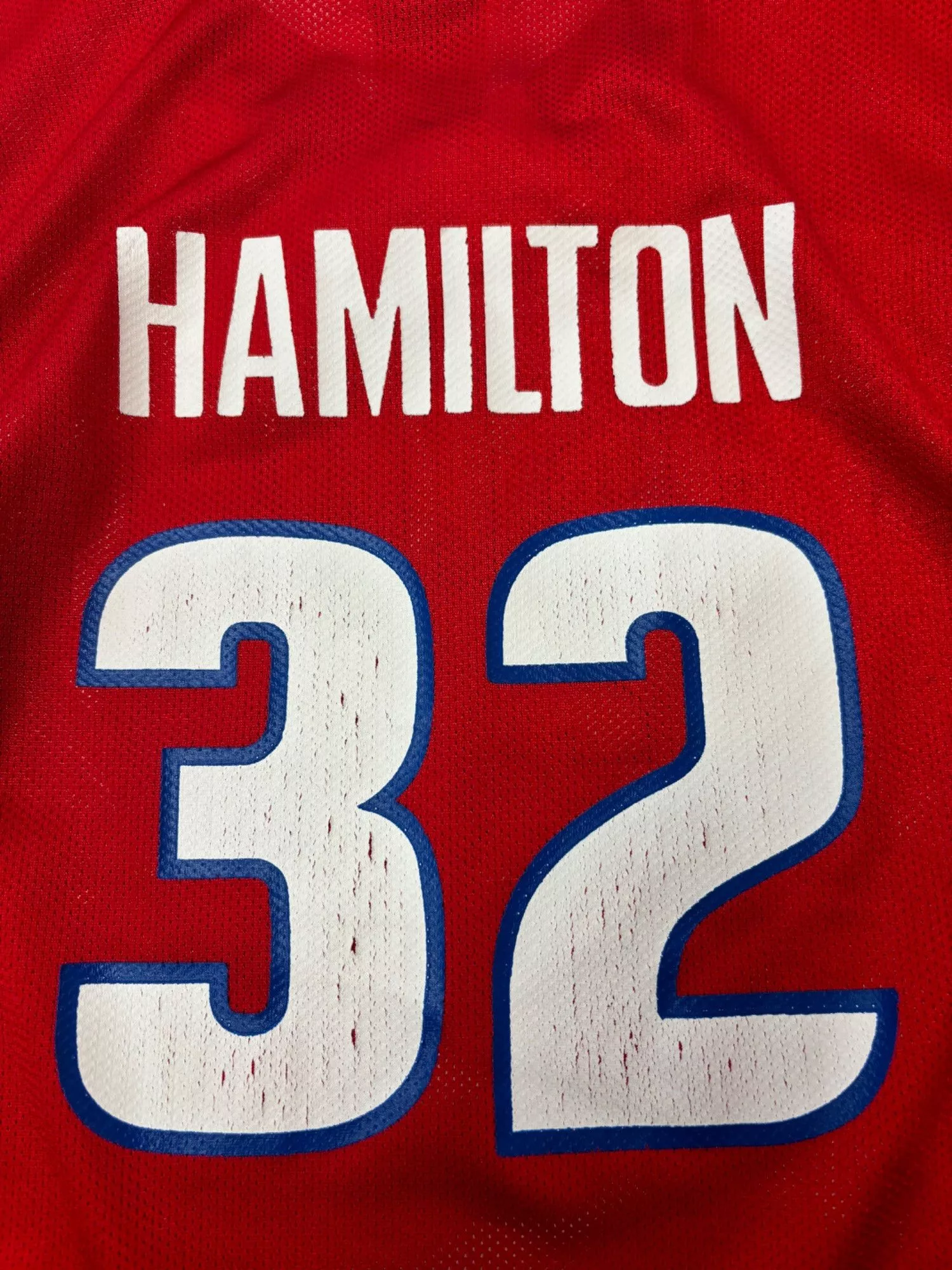 NBA Jerseys L (Y) NBA Pistons Hamilton Jersey Multi