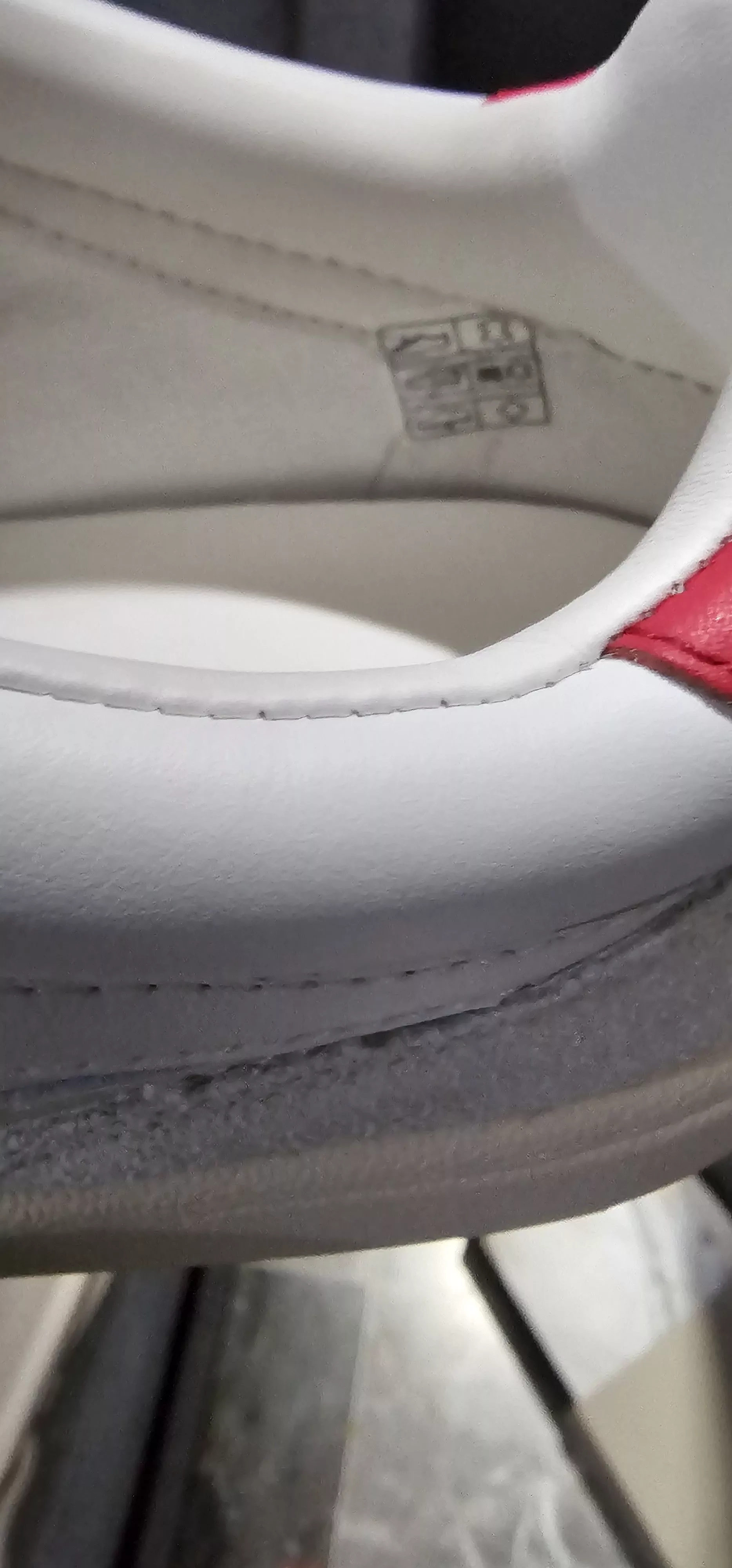 Palm Angels Low Top Sneakers Palm Angels Palm angles university White