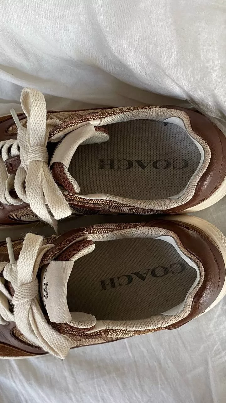 Coach Low Top Sneakers Coach monogram sneakers Multi