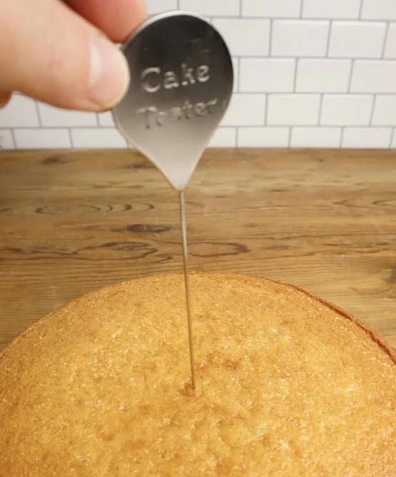 SS Cake Tester