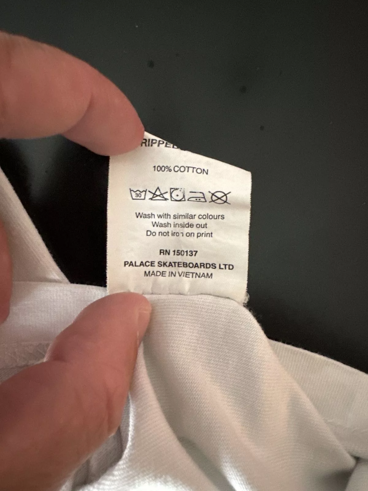 Palace Short Sleeve T Shirts Palace Blue Tiger Tee White