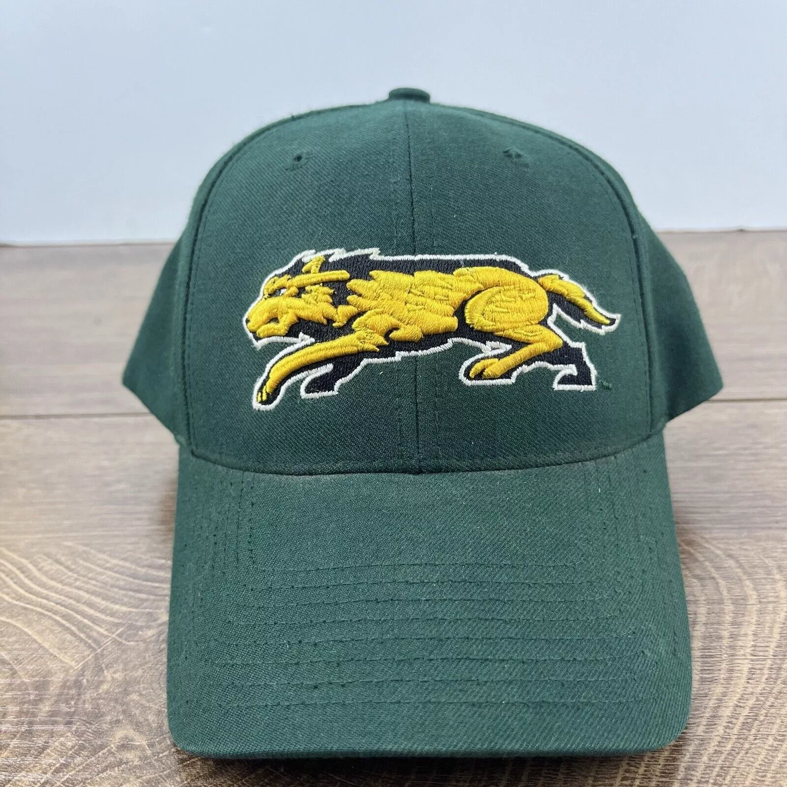 Other Hats Other Wright State Raiders Green Hat NCAA Green Hat Adjustable Hat