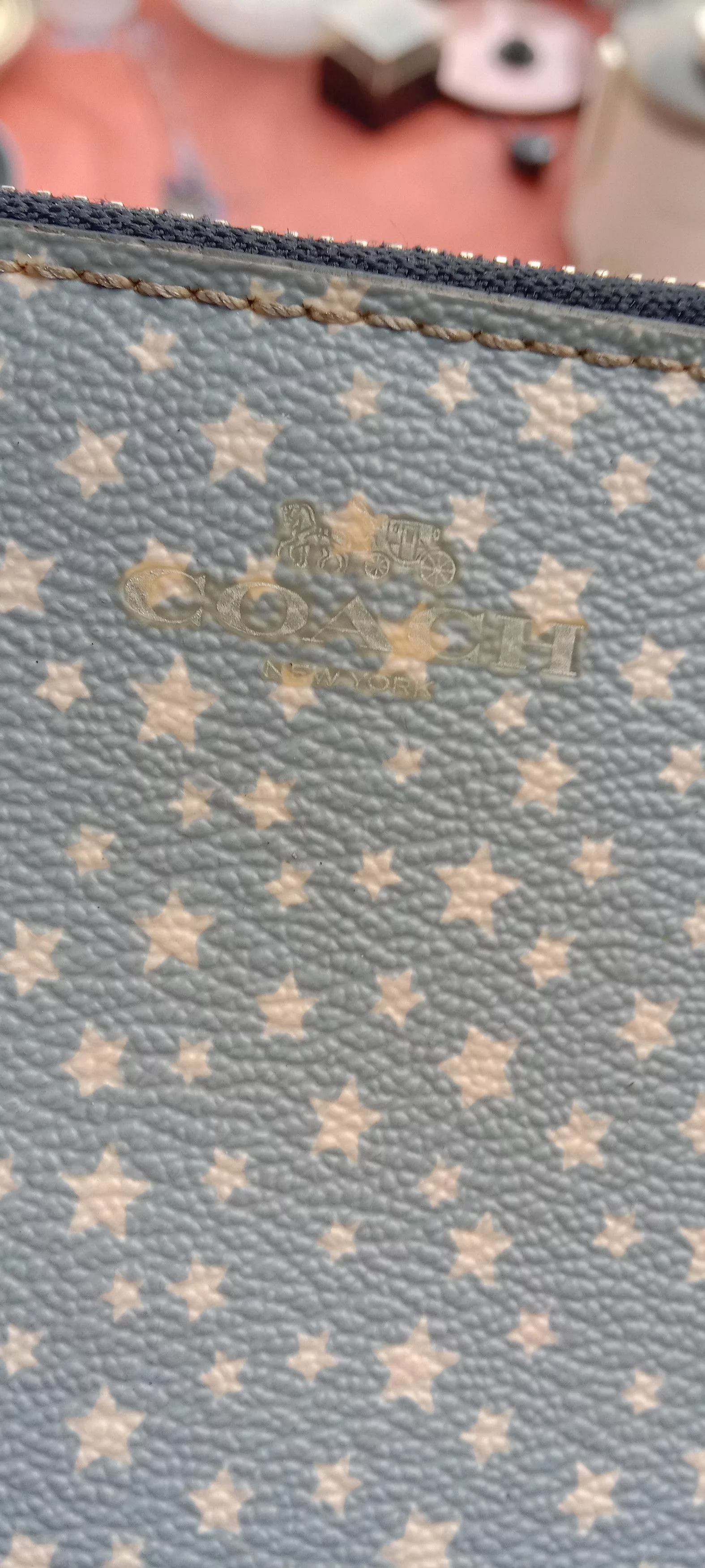 Coach Clutches Coach Small star print Multi