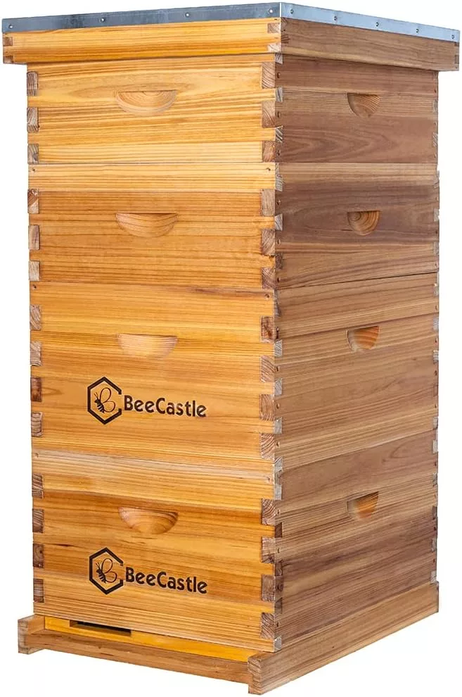 BeeCastle 10 Frame Langstroth Bee Hive Coated with 100% Beeswax Includes Beehive Frames and Waxed Foundations (2 Deep Boxes & 2 Medium Boxes)
