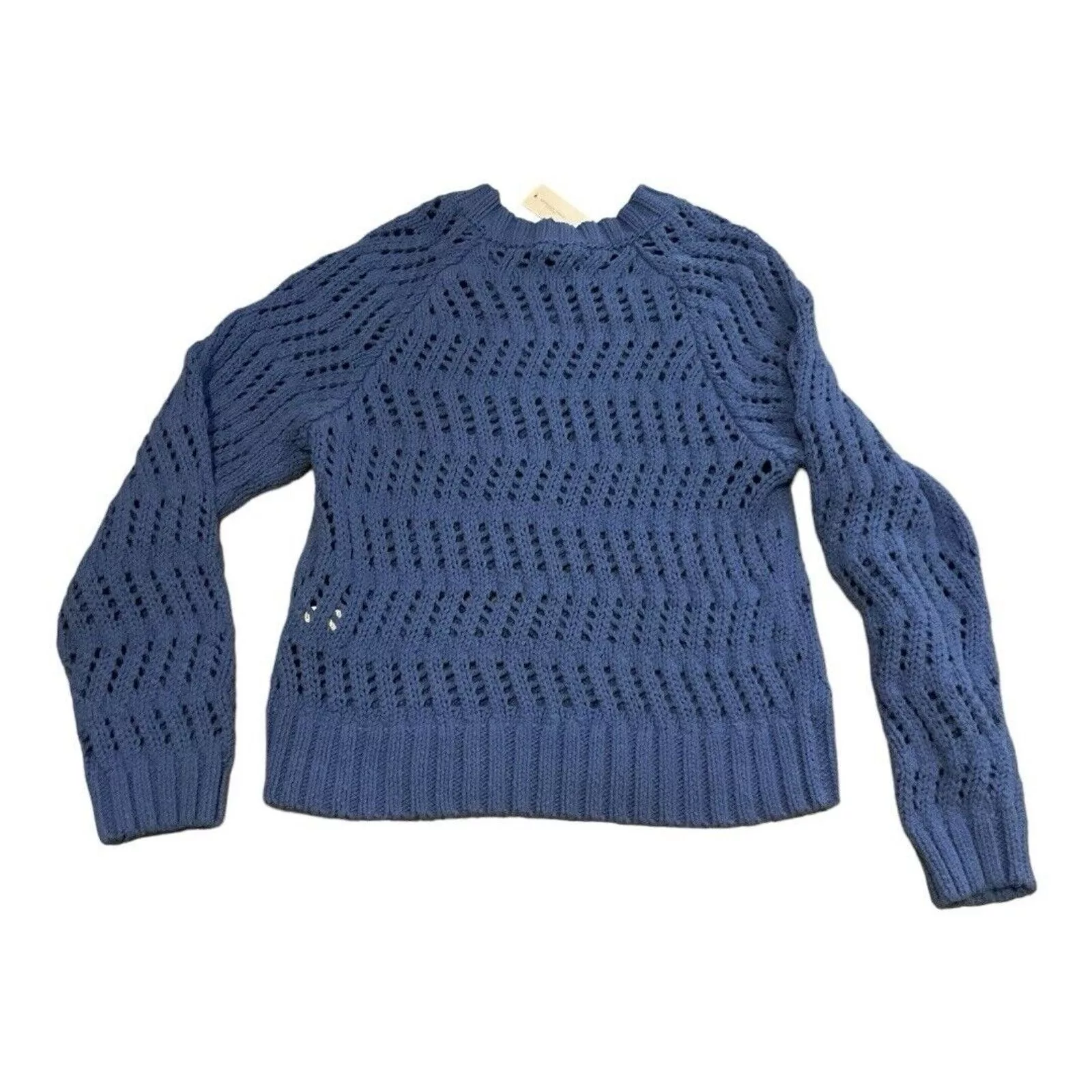 American Eagle Outfitters Sweaters American Eagle Outfitters American Eagle Sweater NWT Blue