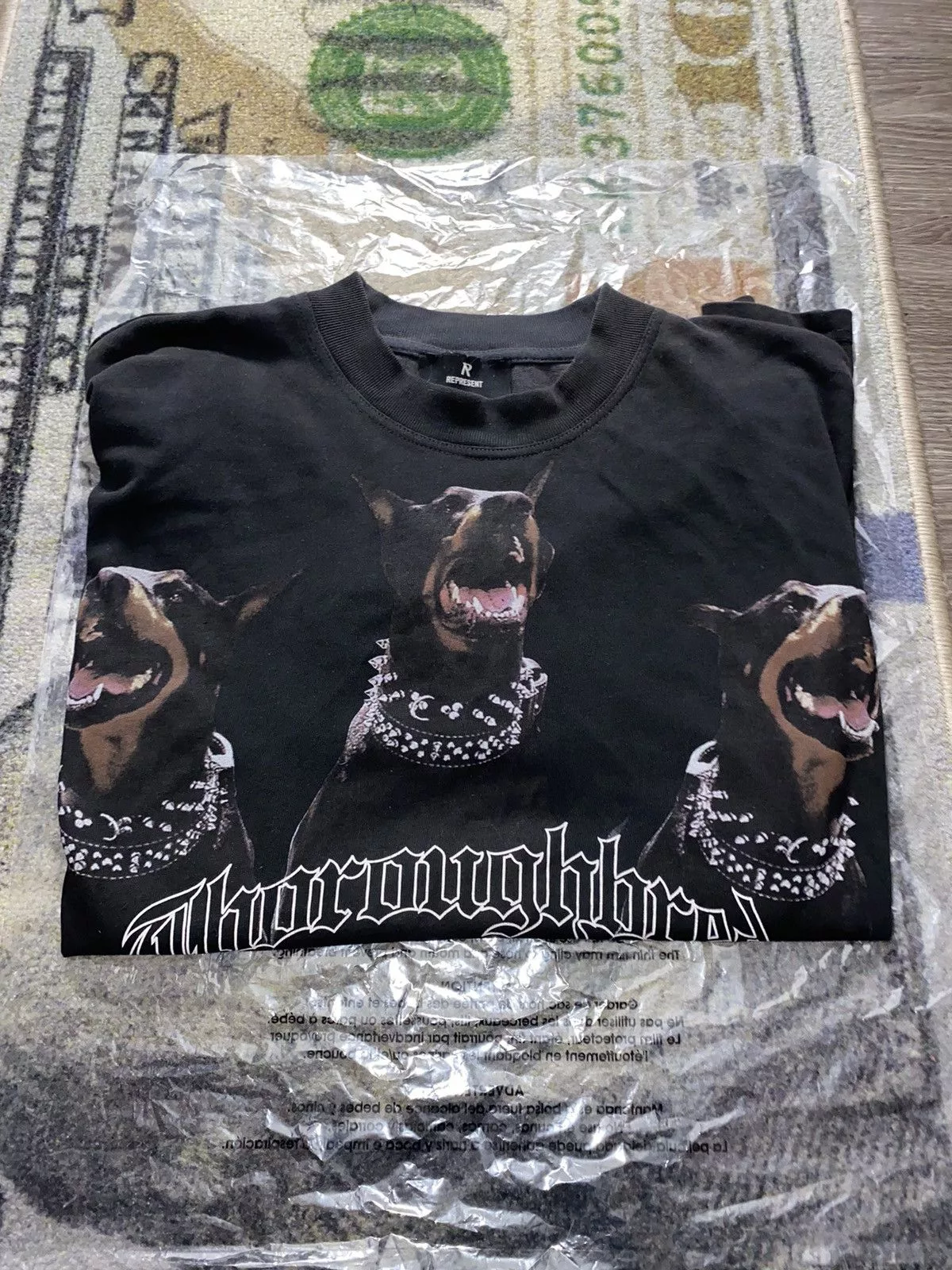 Represent Clo. Short Sleeve T Shirts Represent Clo. REPRESENT Black Thoroughbred T-Shirt