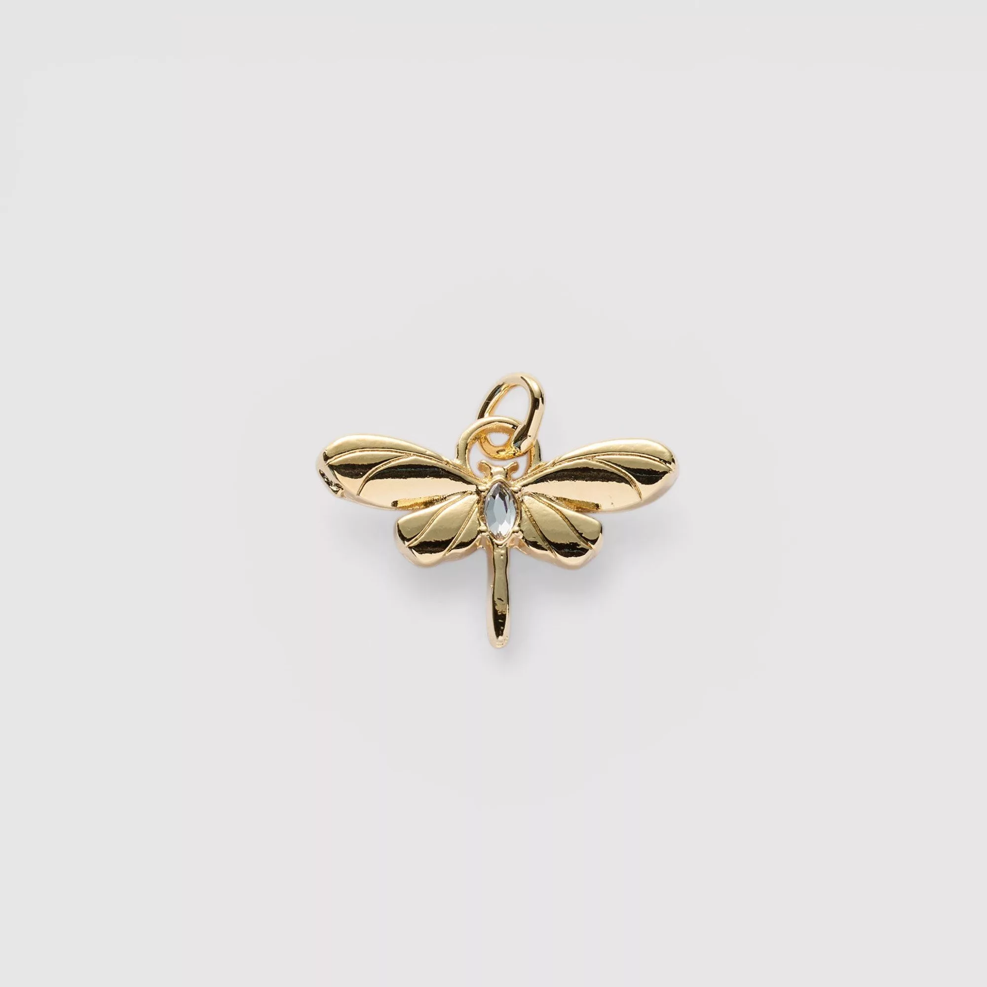 Guided Dragonfly Charm