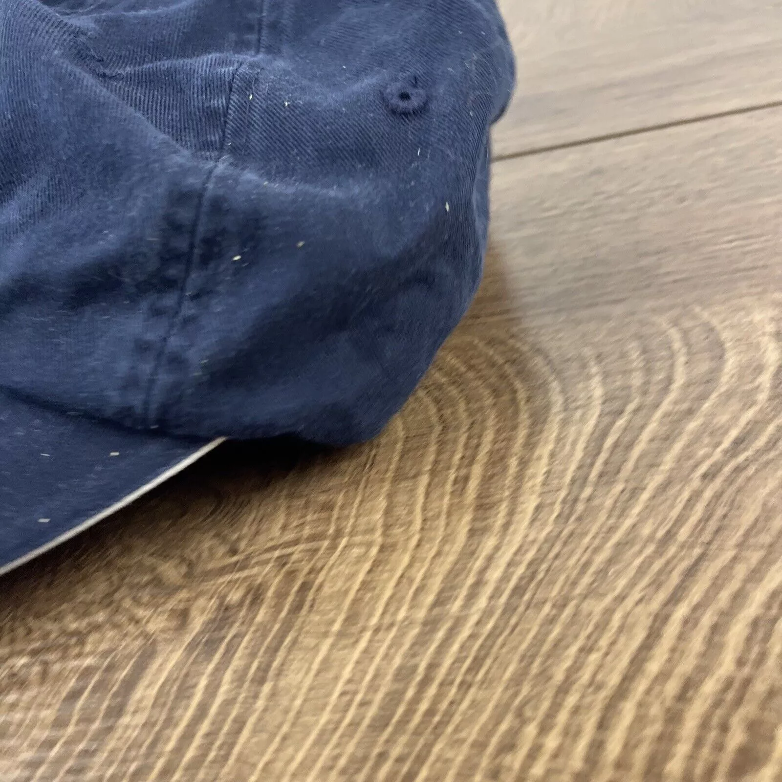 Other Hats Other Trinity Lutheran High School Hat Blue Adjustable Hat Cougar