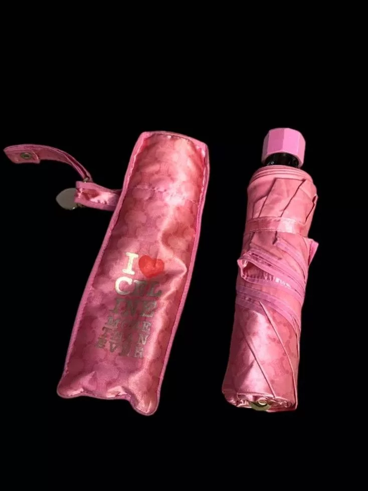 Celine Miscellaneous Celine × Designer Celine Single Person Umbrella Pink