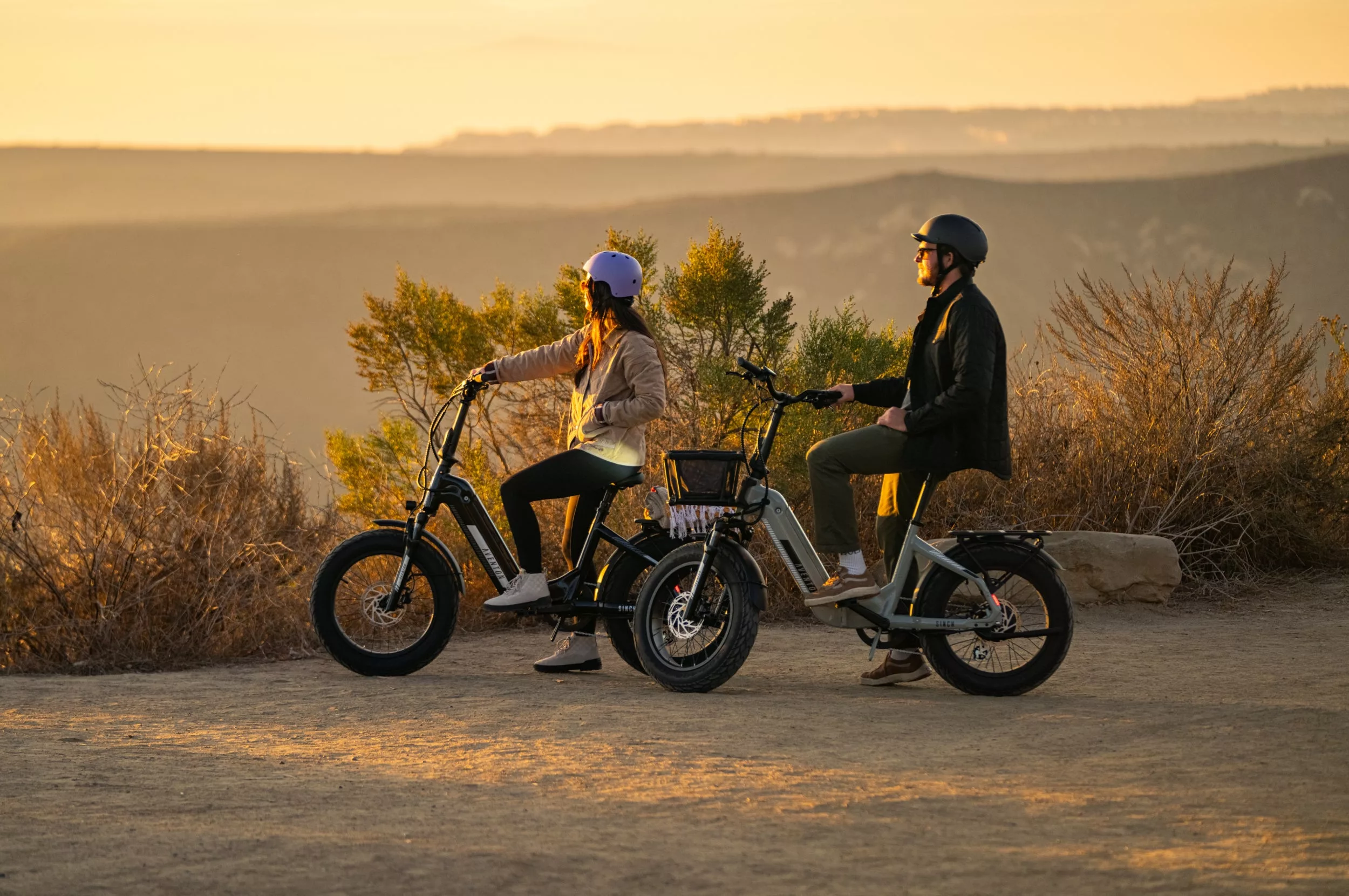 Sinch 2.5 Ebike