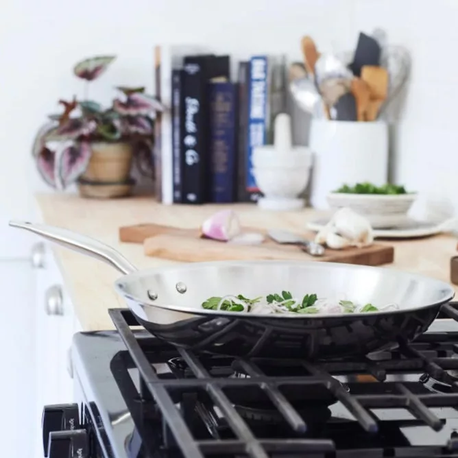 HS 12" Fry Pan