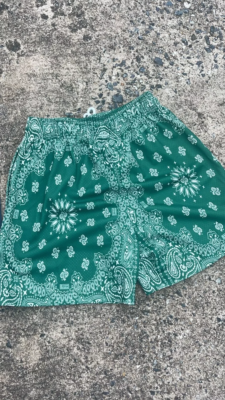 Bravest Studios Shorts Bravest Studios “ Paisley Green” Shorts