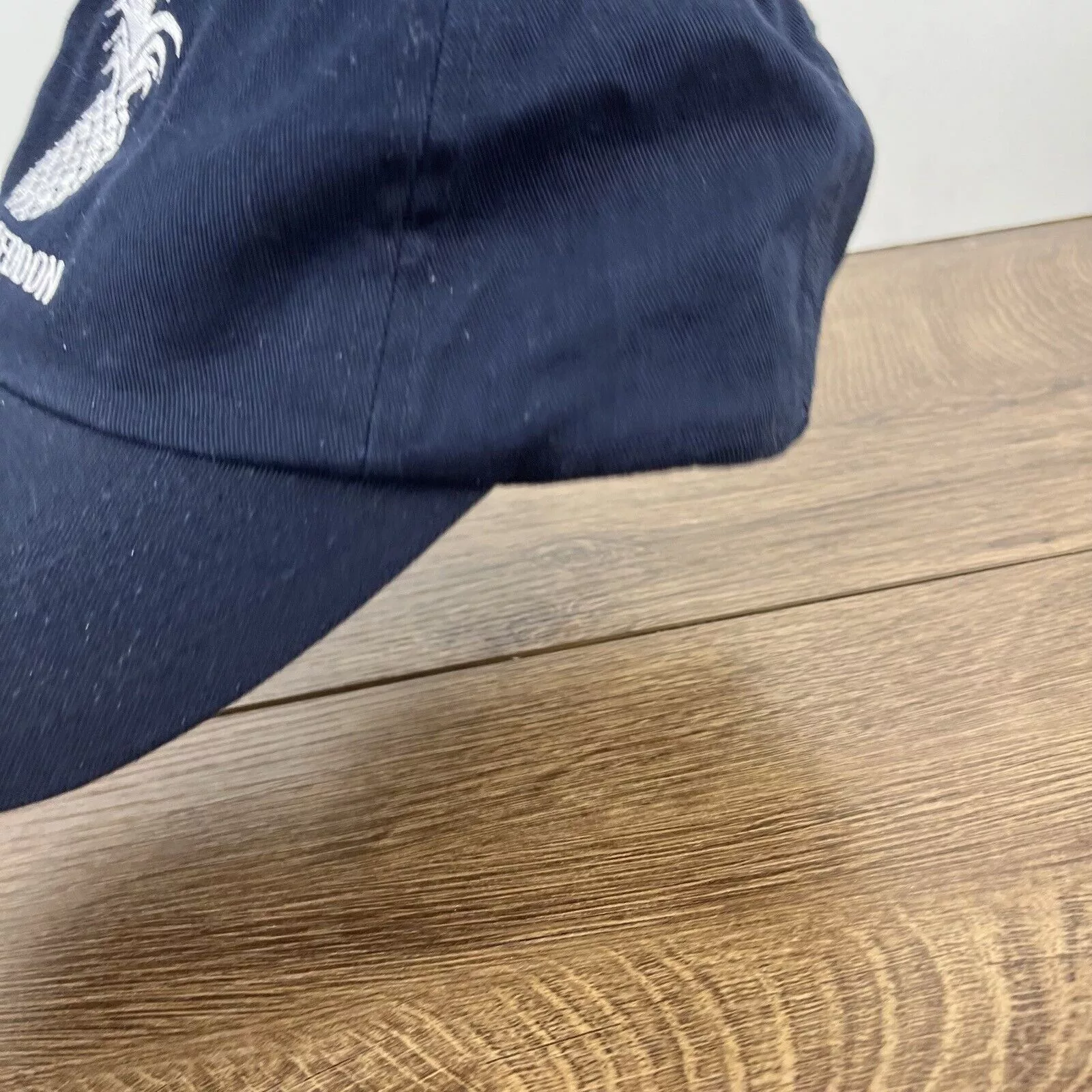 Other Hats Other Armageddon Pineapple Hat Armageddon Blue Hat Adjustable Adul