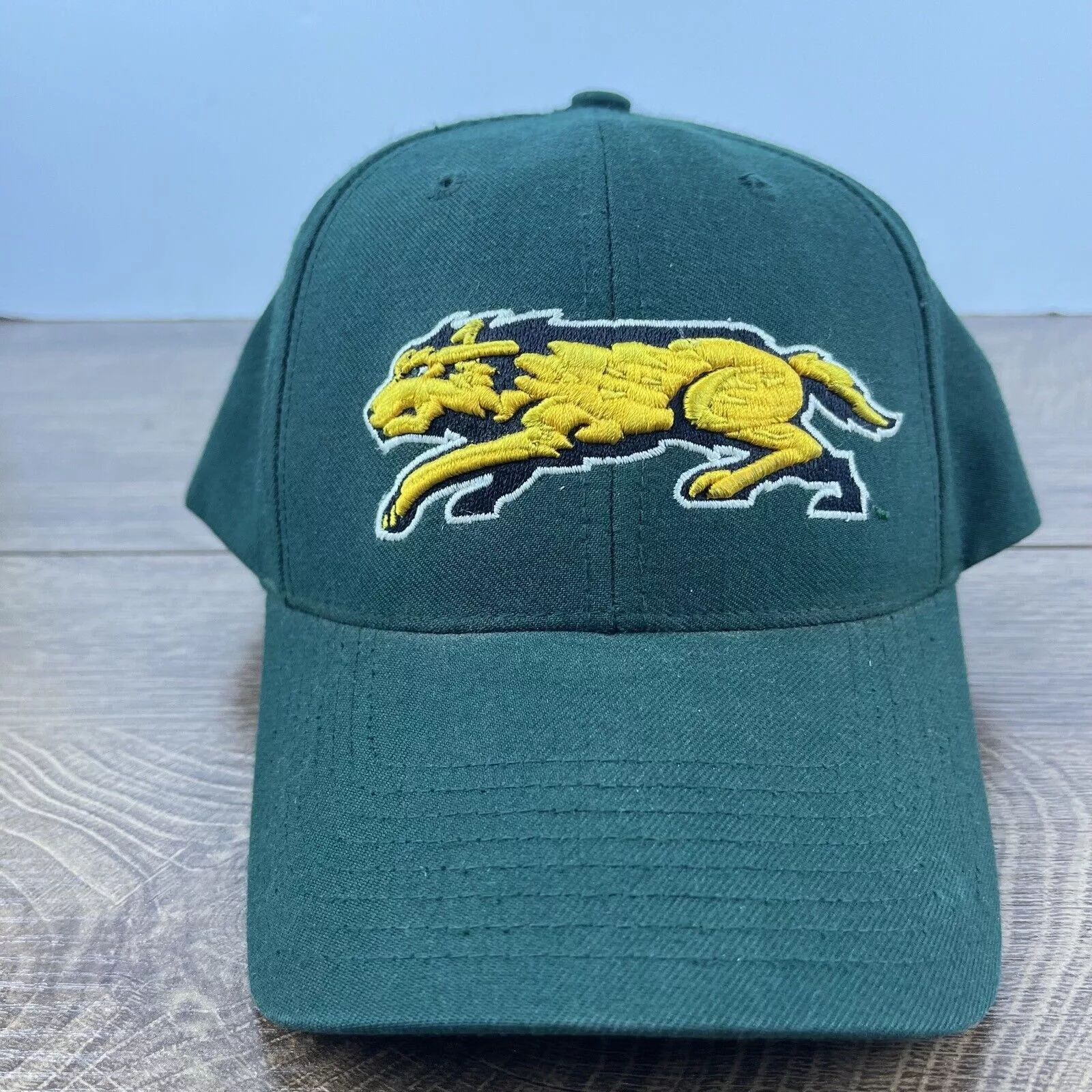 Other Hats Other Wright State Raiders Green Hat NCAA Green Hat Adjustable Hat
