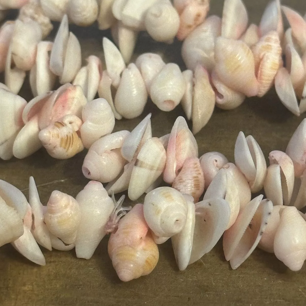 Other Necklaces Other Long pink seashell necklace
