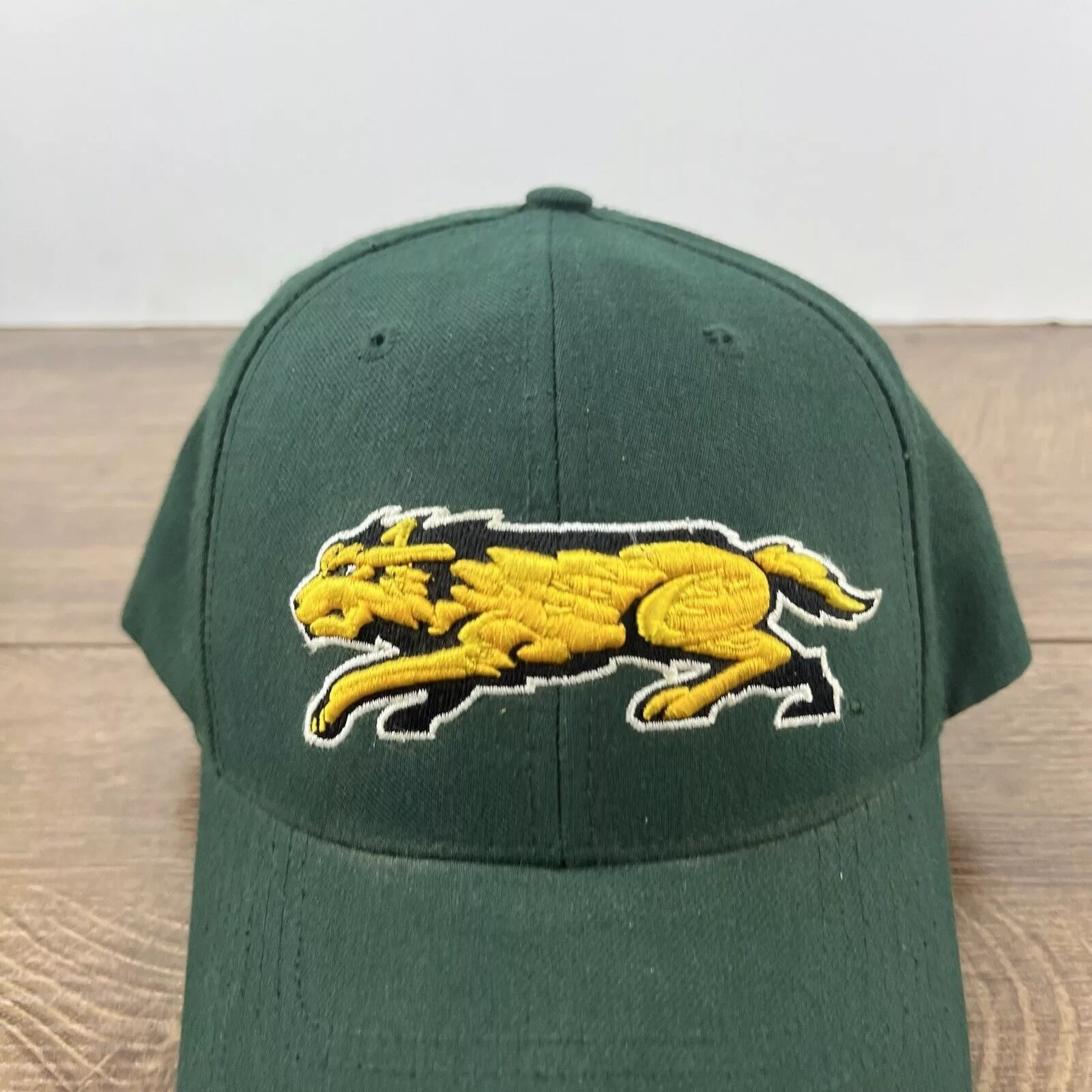 Other Hats Other Wright State Raiders Green Hat NCAA Green Hat Adjustable Hat