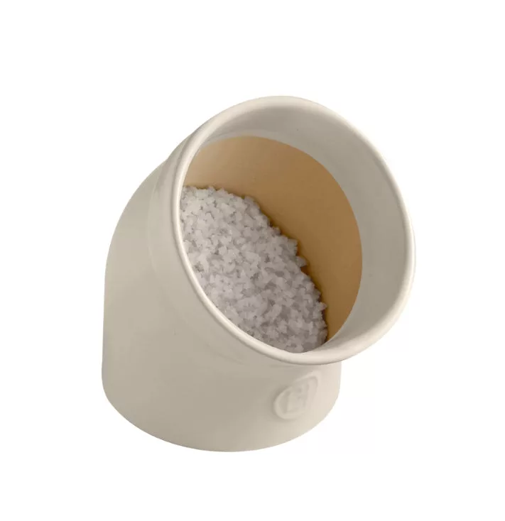 Clay Salt Pig