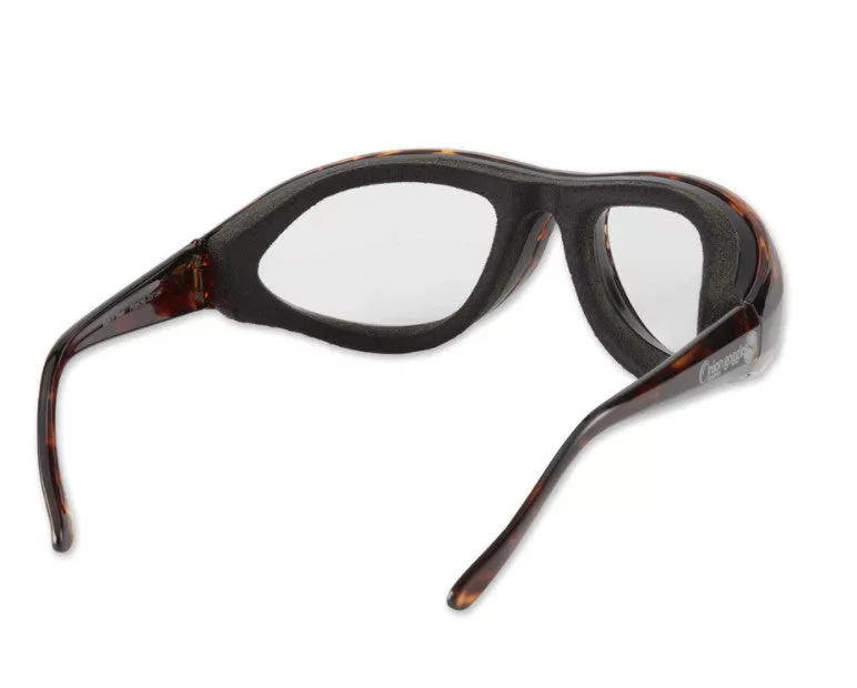 Tortoise Onion Goggles