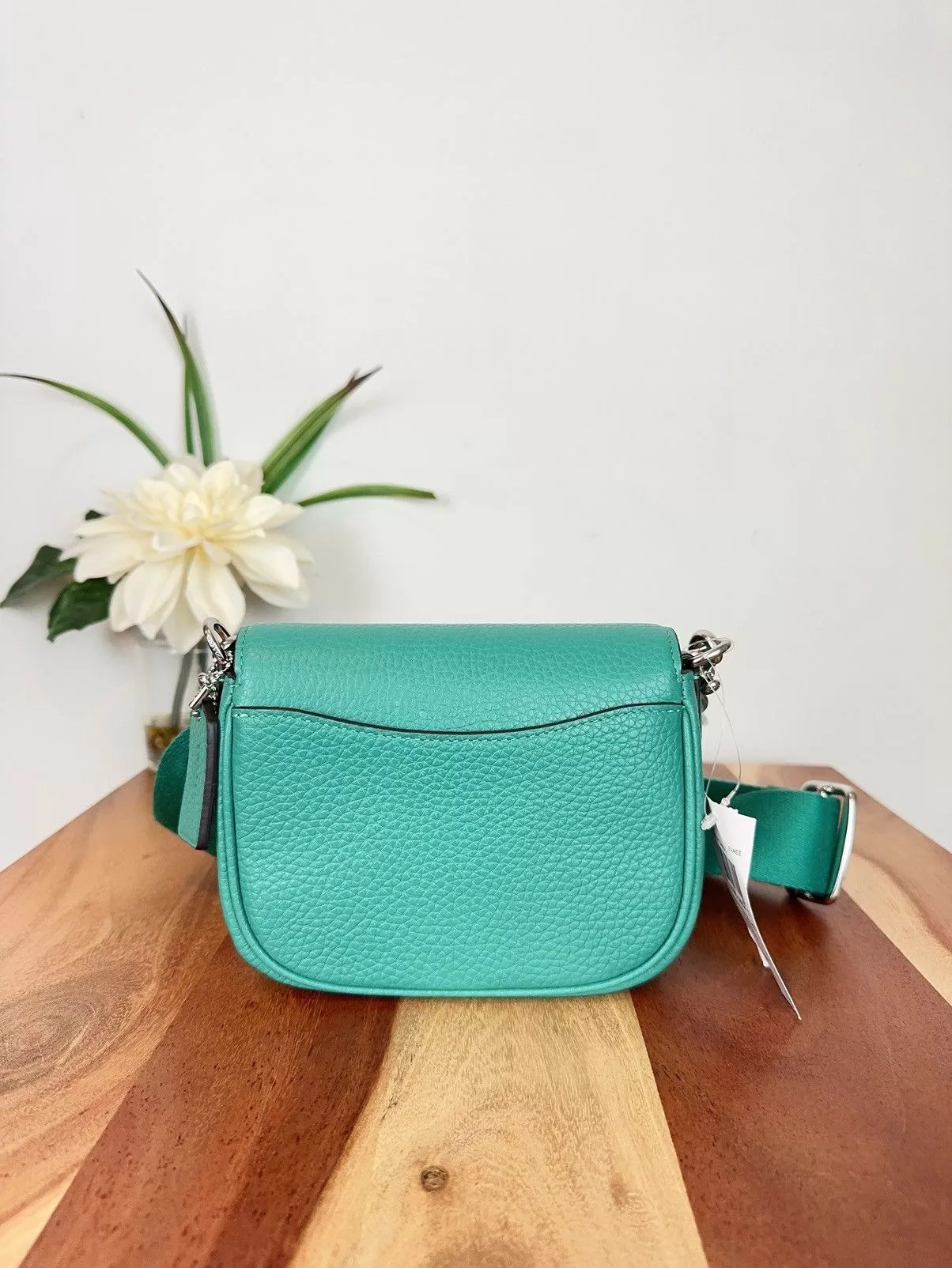 Coach Mini Bags NWT Coach Amelia Small Saddle Bag Green