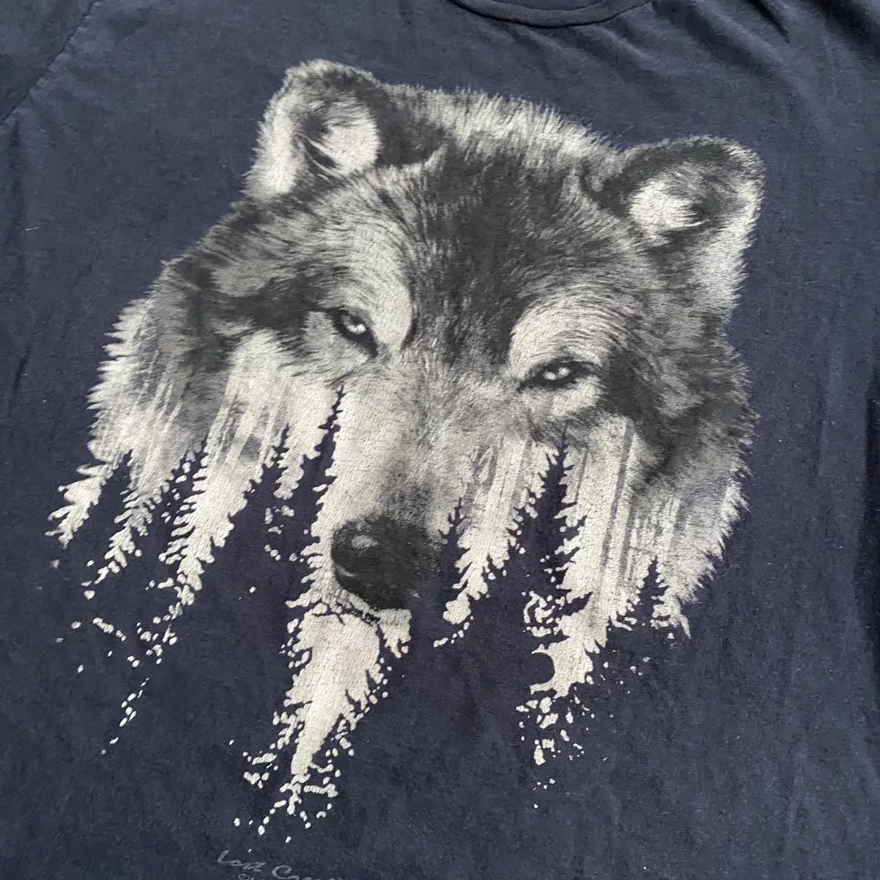 Other Short Sleeve T Shirts Other Wolf Graphic tee Blue