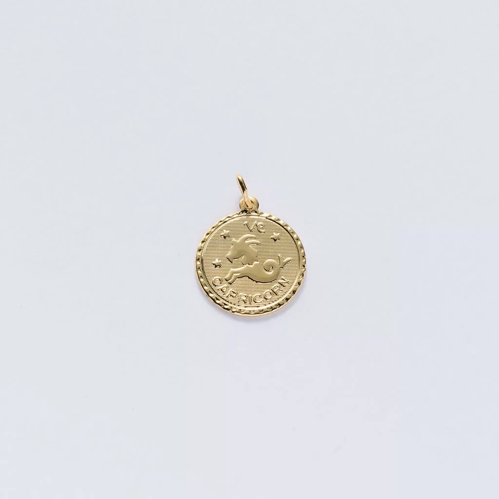 Zodiac Charms