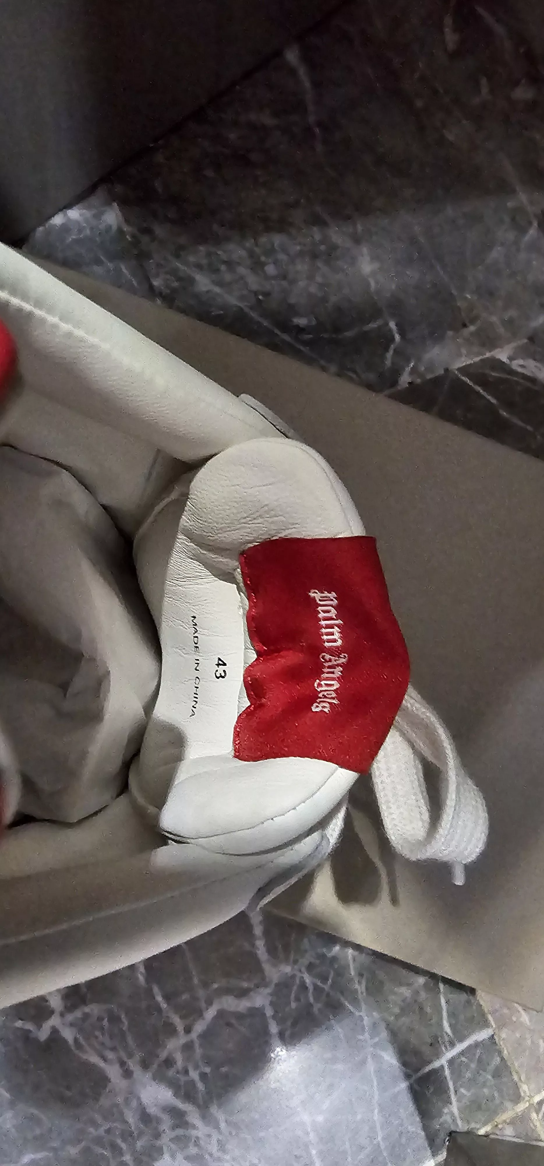 Palm Angels Low Top Sneakers Palm Angels Palm angles university White