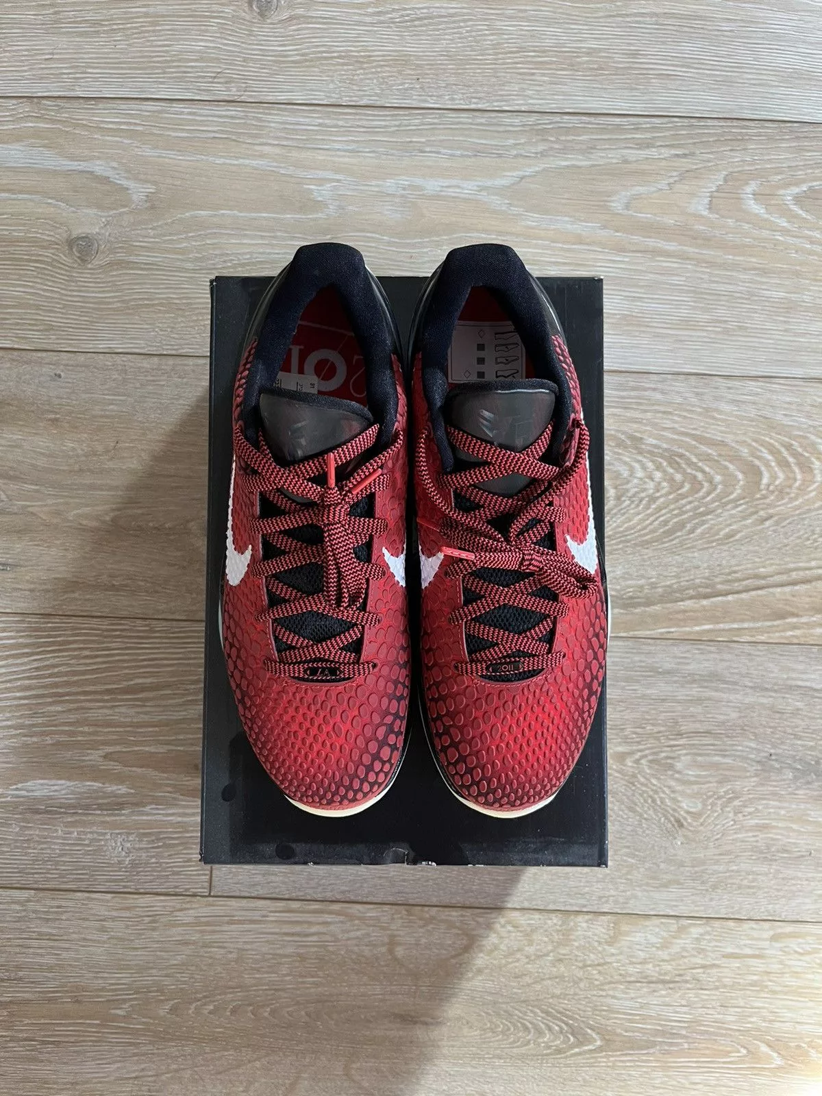 Nike Low Top Sneakers Nike Kobe 6 Protro “All Star” Red