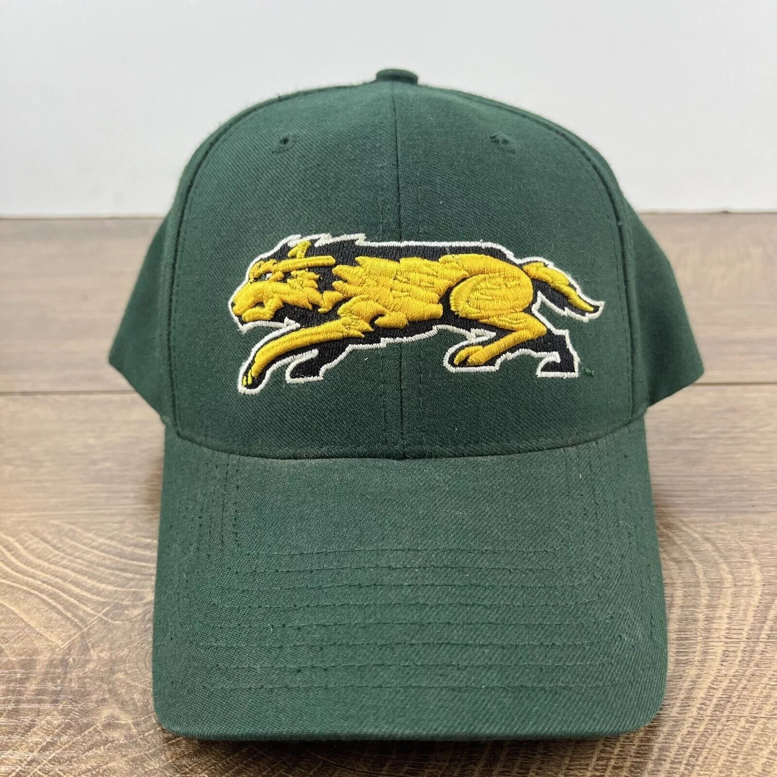 Other Hats Other Wright State Raiders Green Hat NCAA Green Hat Adjustable Hat