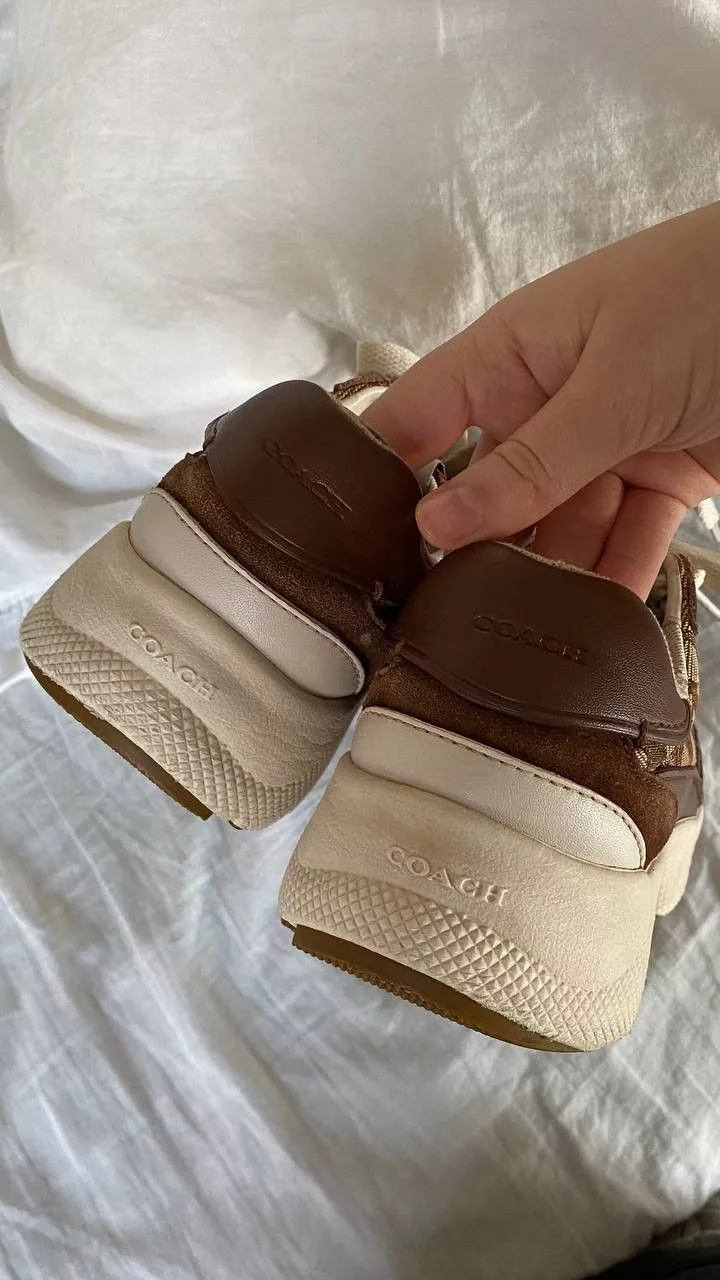 Coach Low Top Sneakers Coach monogram sneakers Multi