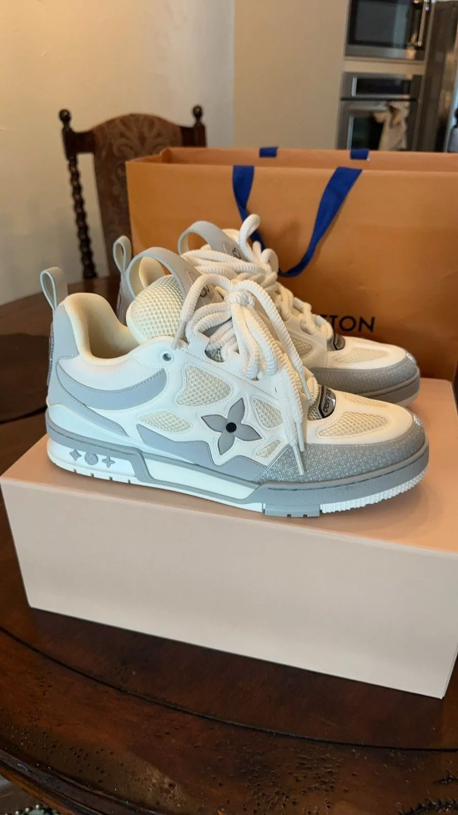 Louis Vuitton Low Top Sneakers Louis Vuitton Skate Sneaker White