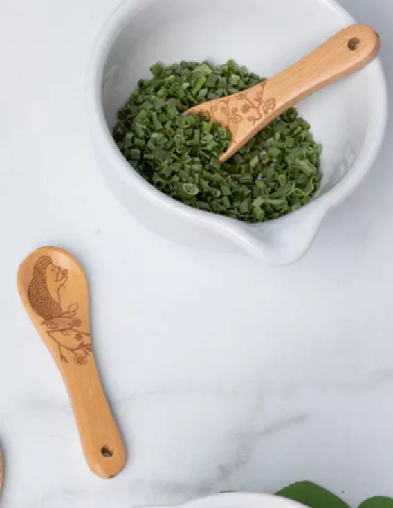 Mini Hedgehog Spoon