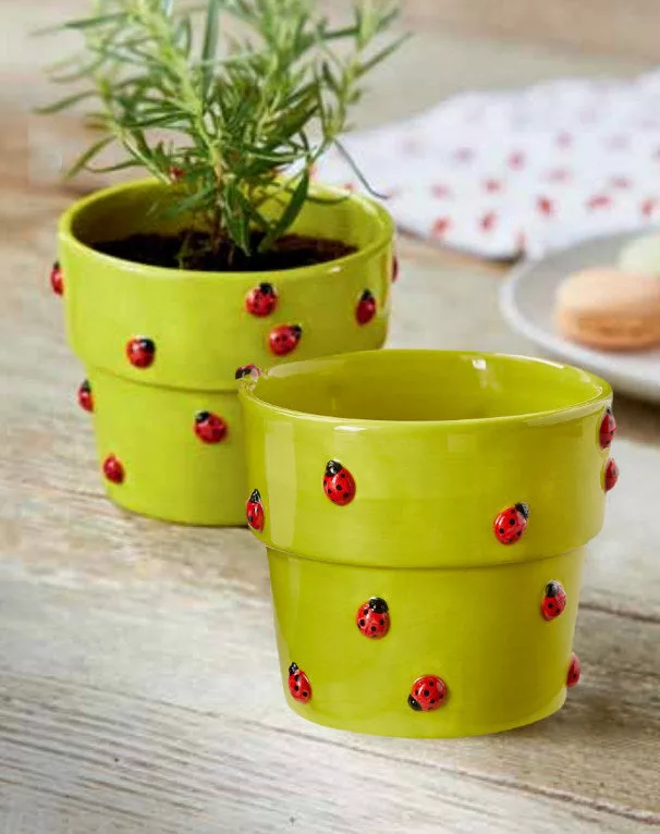 Garden Ladybug Planter