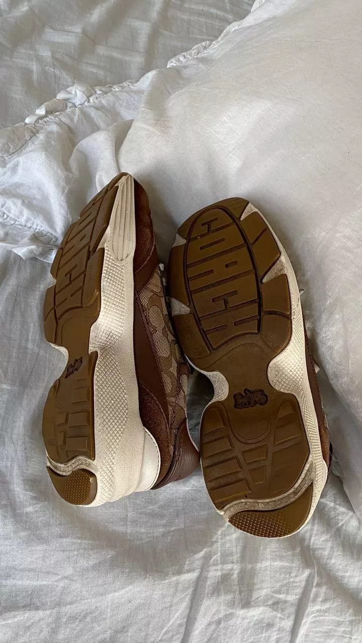 Coach Low Top Sneakers Coach monogram sneakers Multi