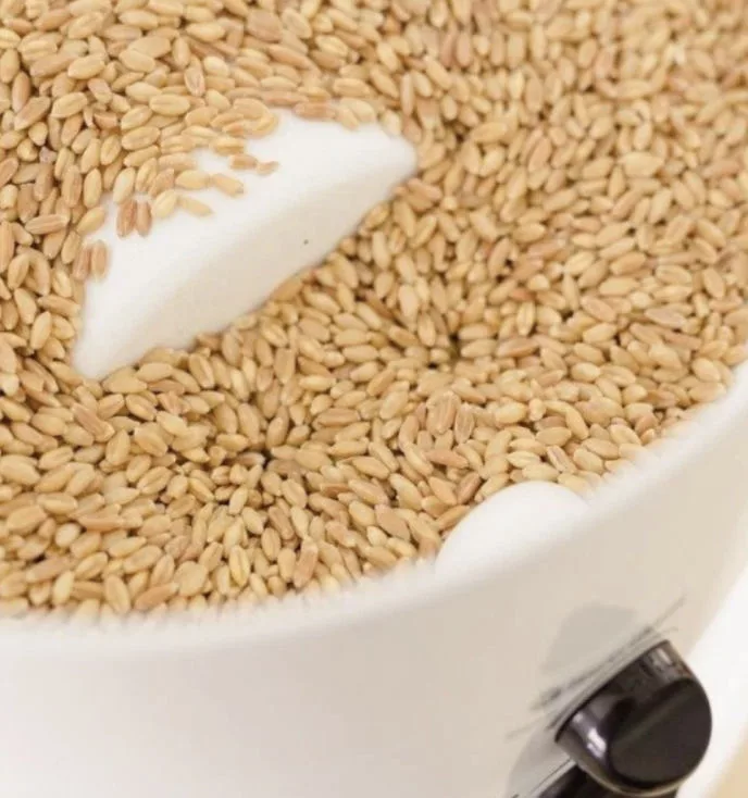 Classic Grain Mill Nutramill