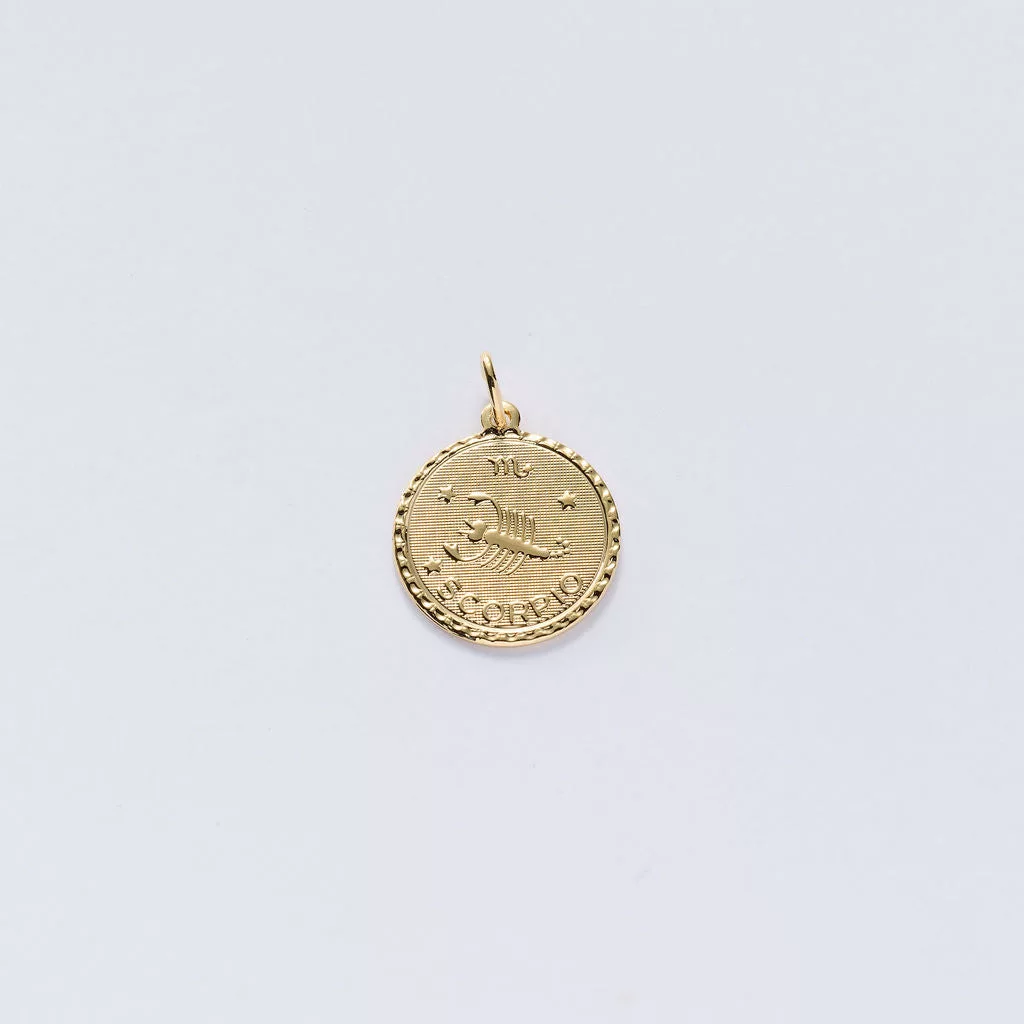 Zodiac Charms