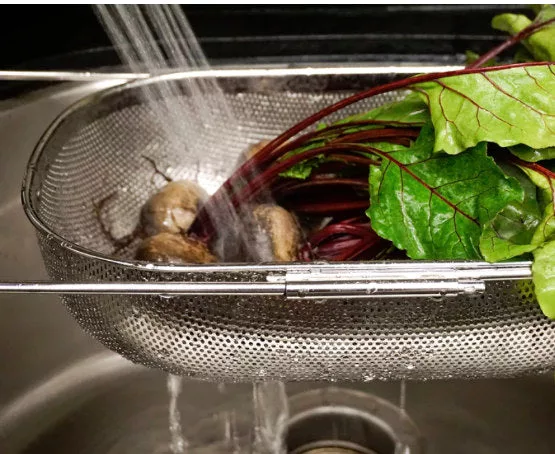 In Sink Drainer