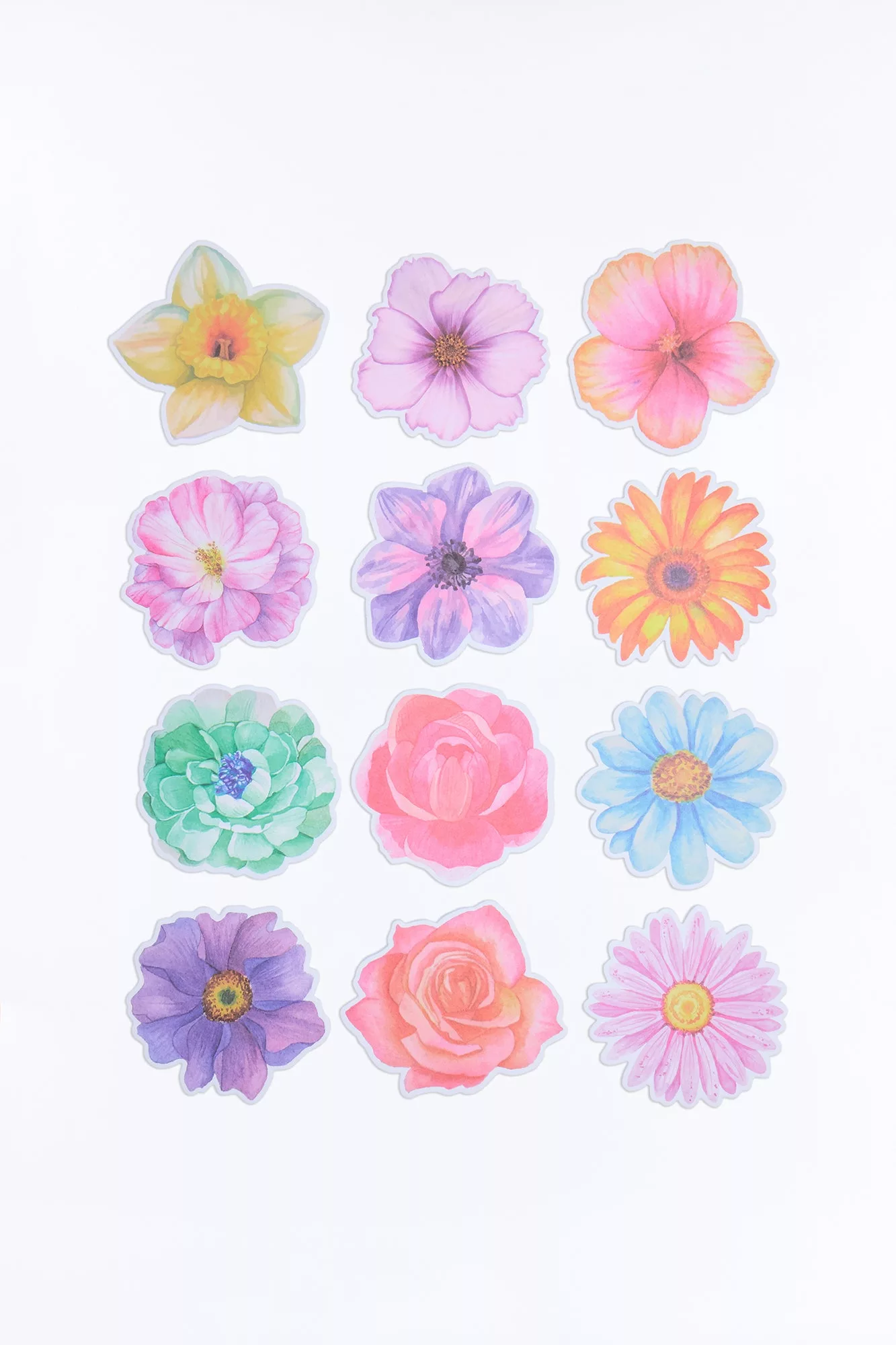 Flowers Sticky Notes 12 Pack Set - Multi Color