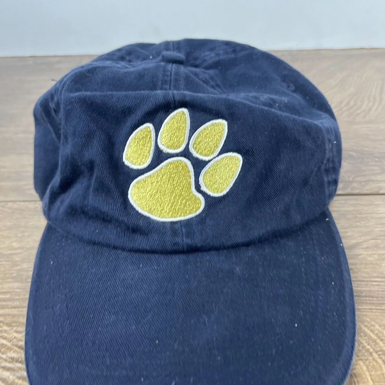 Other Hats Other Trinity Lutheran High School Hat Blue Adjustable Hat Cougar