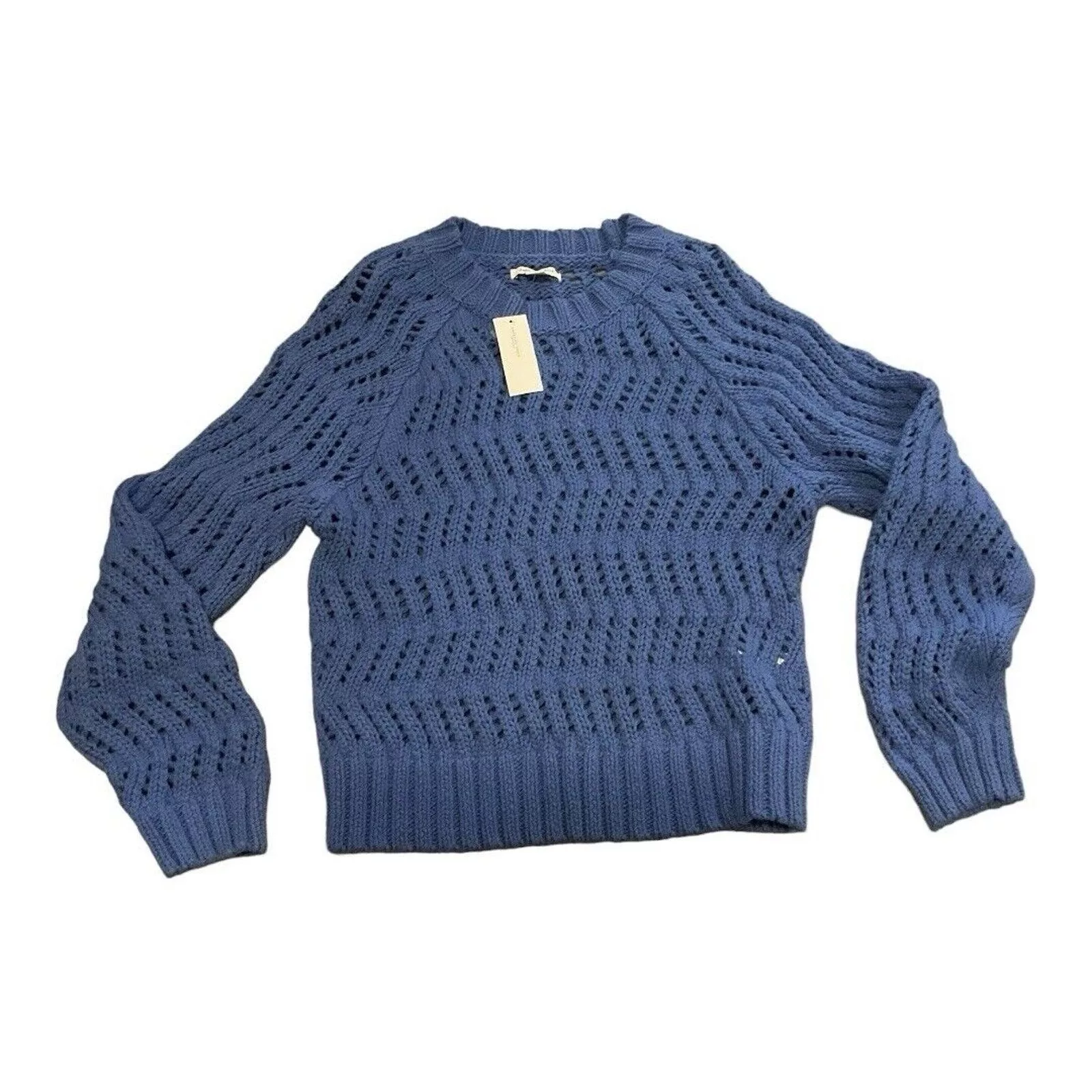 American Eagle Outfitters Sweaters American Eagle Outfitters American Eagle Sweater NWT Blue
