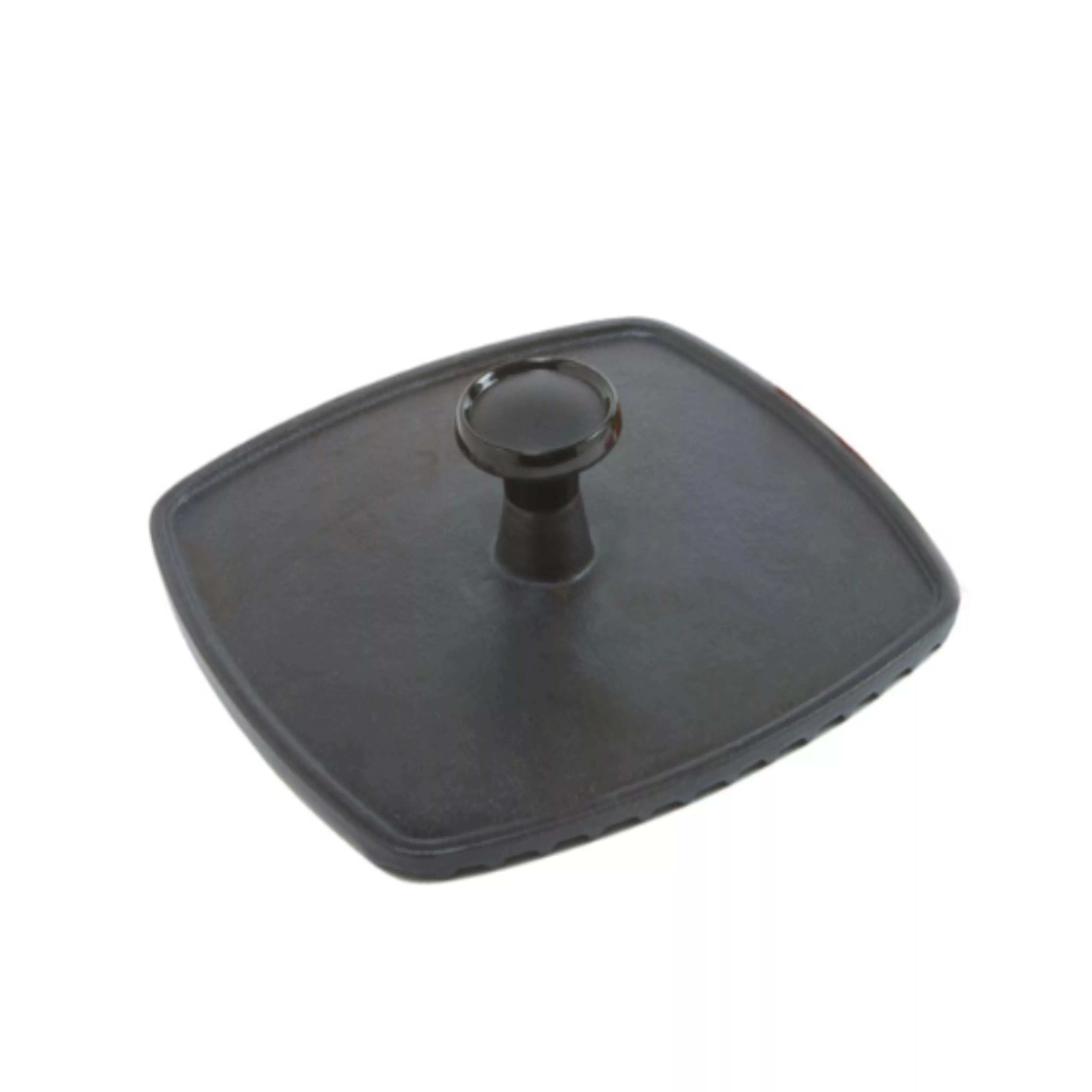 Panini Press
