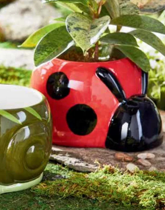 Ladybug 4" Planter