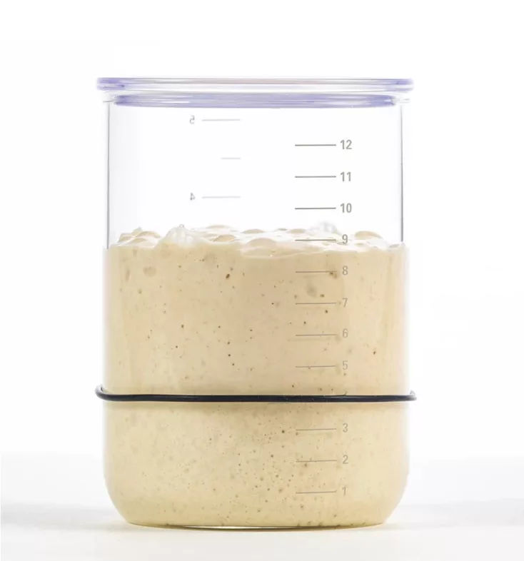 Sourdough Starter Jar